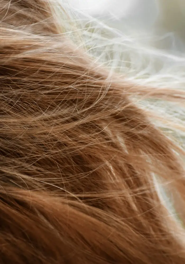 Ash hair colour